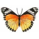 Motif papillon 